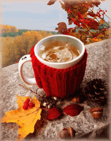 a cup of tea in a red knitted sweater