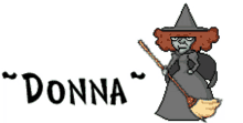 donna donna name witch broomstick bats