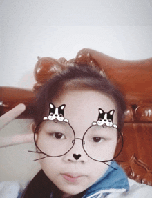 a little girl wearing glasses with two cats on her face