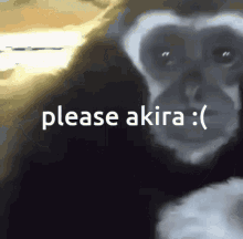 Akira Please GIF