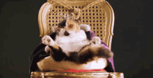 Cat Boss GIF - Tyrant Cat Cat Boss GIFs