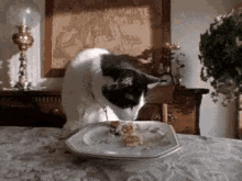 Cute Cat GIF - Cute Cat Eating GIFs