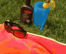 Dog Bikini GIF - Dog Bikini Sun Bathing GIFs