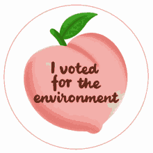 i voted for the environment environment earth mother earth save the planet