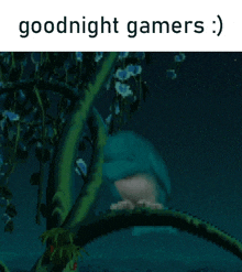 Fin Fin Goodnight Gamers GIF