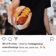 Hot Dog Mustard GIF - Hot Dog Mustard Bun GIFs
