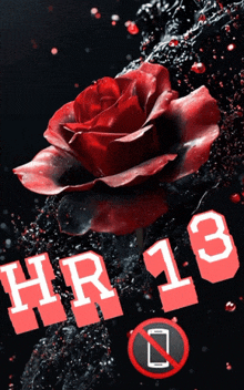a red rose is on a black background with hr13 written on it