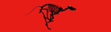 a skeleton of a dinosaur is on a red surface