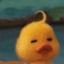 a close up of a yellow rubber duck with its eyes closed and a tail .