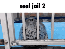 Seal Jail Seal GIF - Seal Jail Seal Aguhiyori GIFs
