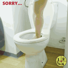 Sorry Roses GIF - Sorry Roses Toilet GIFs