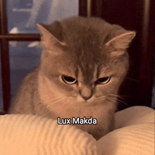 a cat sitting on a pillow with the name lux makda written on it