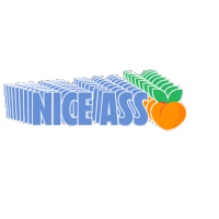 a nice ass logo with a peach and green leaves on a white background