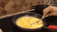 Egg Cooking GIF