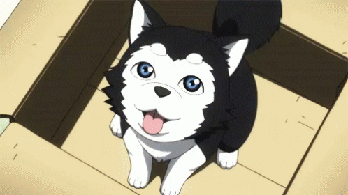 anime dog gifs  WiffleGif