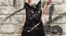 Cat Try Me GIF - Cat Try Me Salem GIFs