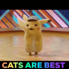 pikachu dancing cats cats pikachu best detective pikachu