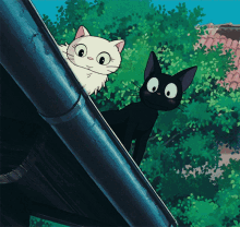 Jiji Cat GIF - Jiji Cat GIFs