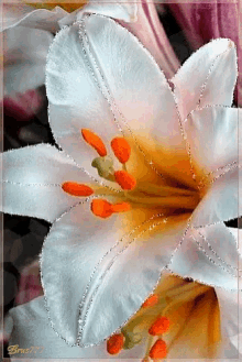 Flower Glitter GIF - Flower Glitter GIFs