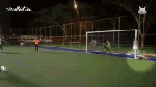Saving Penalty Kick Dog Goalkeeper GIF - Saving Penalty Kick Dog Goalkeeper Goalkeeper GIFs