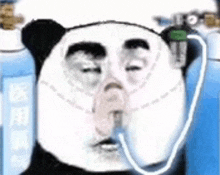 a panda bear wearing an oxygen mask is sitting next to a bottle of oxygen .