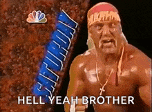 Hulk Hogan Brother GIF - Hulk Hogan Brother Saturday GIFs