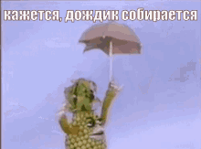 ананас дождь зонтик GIF