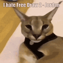 Free Draw2 Roblox GIF - Free Draw2 Free Draw GIFs
