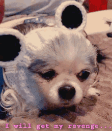 Cute Dog Cute Puppy GIF - Cute Dog Cute Puppy Puppy Wearing Costume GIFs