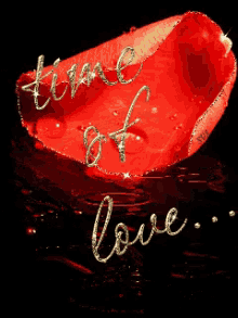 Love Time Of Love GIF - Love Time Of Love Love You GIFs