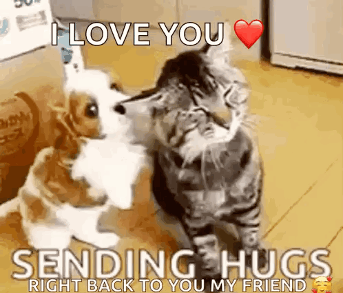 dog.gif