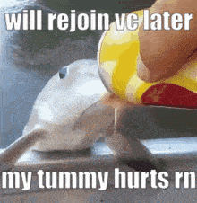 a picture of a fish with the words will rejoin ve later my tummy hurts rn