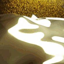 Chip N Drip Chips And Dip GIF - Chip N Drip Chips And Dip Chips N Dip GIFs