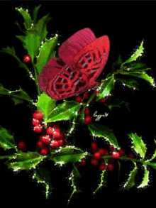 Red Butterfly GIF - Red Butterfly Flowers GIFs