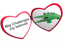 a red heart with a picture of a crocodile and the words big challenges my beloved