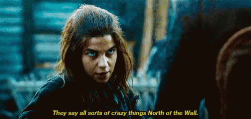 North Of The Wall Game Of Thrones GIF - North Of The Wall Game Of