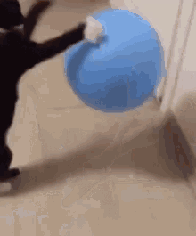GIF