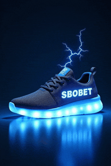 a pair of shoes with the word sbobet on them