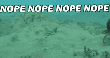 a black octopus is swimming in the ocean with the words `` nope nope nope nope '' written above it .