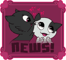 News Check This Out GIF - News Check This Out Petita Cat GIFs