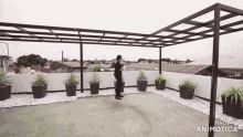 a man in a suit stands on a rooftop with potted plants and a made in animatica logo