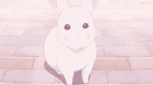 anime bunny gifs  WiffleGif