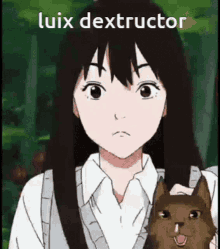 Luix Dextructor Mizuho GIF
