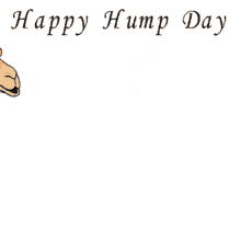 hump day camel avatar animation ride