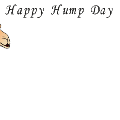 Hump Day Camel Sticker - Hump Day Camel Avatar Stickers
