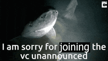 a shark is swimming in the water with the words i am sorry for joining the vc unannounced .