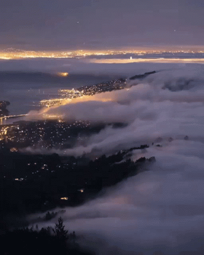 Fog Night Time Fog GIF - Fog Night Time Fog View At Night - Discover &  Share GIFs
