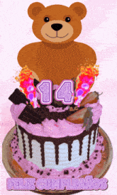 a teddy bear stands on top of a birthday cake with the number 14 on it