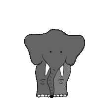 Elephant Elephants Sticker