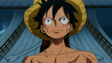 One Piece One Piece Movie 12 GIF